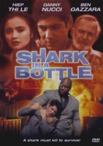 Акула в бутылке/Shark in a Bottle (2000)