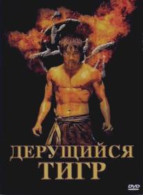 Дерущийся тигр/Kinta (2008)