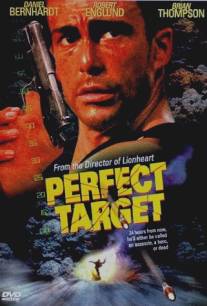 Главная мишень/Perfect Target (1997)