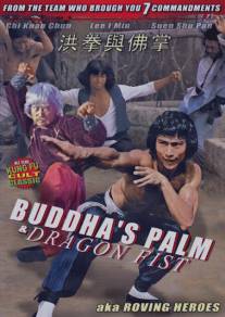 Ладонь Будды и кулак Дракона/Liu xing fei ying (1980)