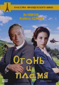 Огонь и пламя/Tout feu, tout flamme (1981)