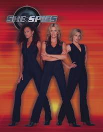Шпионки/She Spies (2002)