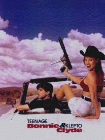 Современные Бонни и Клайд/Teenage Bonnie and Klepto Clyde (1993)