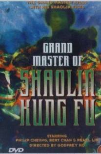Великий магистр Шаолинь кун-фу/Da Mo shen gong