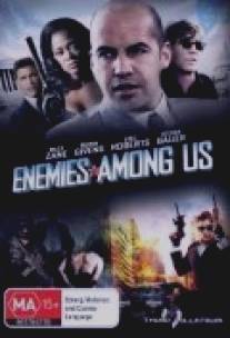 Враги среди нас/Enemies Among Us (2010)