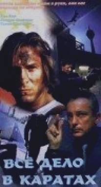 Все дело в каратах/Die Diebin (1999)