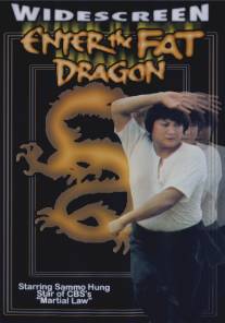 Выход жирного дракона/Fei Lung gwoh gong (1978)