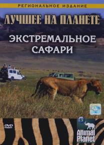 Animal Planet: Экстремальное сафари/Animal Planet (2007)