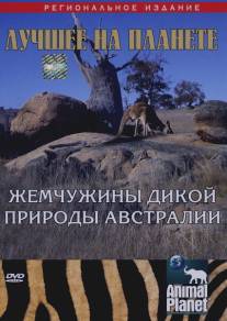 Animal Planet: Жемчужины дикой природы Австралии/Australian Wildlife Encounters (2007)