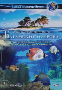 Багамские острова 3D: Таинственные пещеры и затонувшие корабли/Adventure Bahamas 3D: Mysterious Caves And Wrecks (2012)