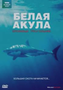 BBC: Белая акула. Кровавый треугольник/White Shark. Red Triangle