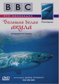 BBC: Большая белая акула/Great White Shark (1995)