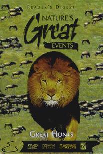 BBC: Чудеса живой природы: Великая охота/Nature's Great Events: Great Hunts (1996)