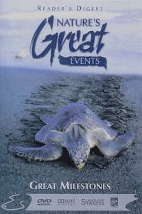 BBC: Чудеса живой природы: Великие вехи/Nature's Great Events: Great Milestones (1996)