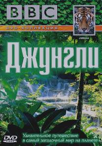 BBC: Джунгли/Jungle