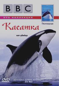 BBC: Касатка/Killer Whale