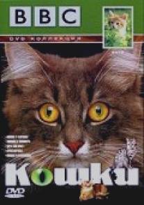 BBC: Кошки/Cats (1991)