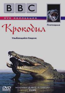 BBC: Крокодил/Crocodile