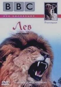 BBC: Лев/Lion (2000)