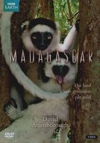 BBC: Мадагаскар/Madagascar (2011)