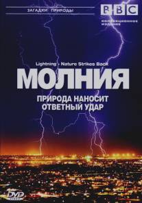 BBC: Молния. Природа наносит ответный удар/Lightning - Nature Strikes Back (2004)