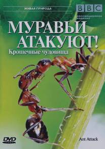 BBC: Муравьи атакуют/Ant Attack (2006)