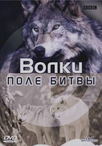 BBC: Поле битвы: Волки/Wolf Battlefield