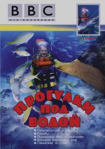 BBC: Прогулки под водой/Walking Underwater (1991)