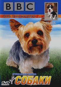 BBC: Собаки/BBC: The Canine Conspiracy (2002)