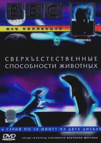 BBC: Сверхъестественные способности животных/Supernatural (1999)