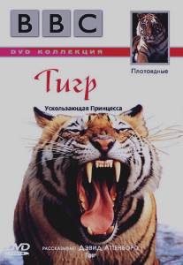 BBC: Тигр/Tiger