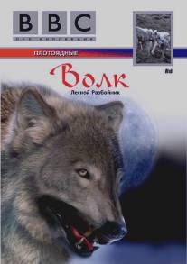 BBC: Волк/Wolf (1997)