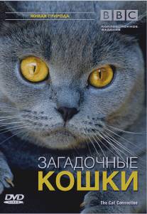 BBC: Загадочные кошки/Cat Connection, The (2002)