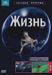 BBC: Жизнь/Life (2009)