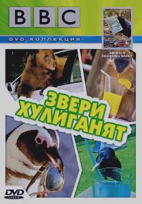 BBC: Звери хулиганят/Animals Behaving Badly (2004)