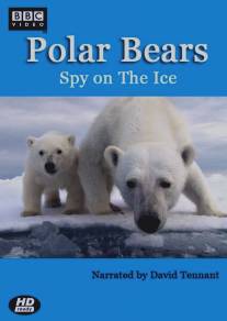 Белый медведь: Шпион во льдах/Polar Bears: Spy on the Ice