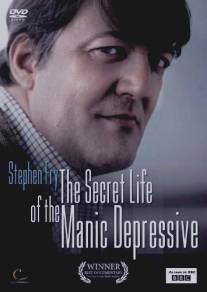 Безумная депрессия со Стивеном Фраем/Stephen Fry: The Secret Life of the Manic Depressive (2006)