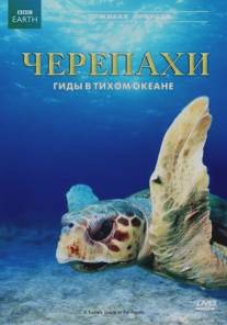 Черепахи: Гиды в Тихом океане/A Turtle's Guide to the Pacific