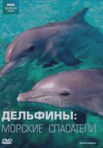 Дельфины: Морские спасатели/Saved by Dolphins (2008)