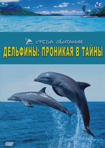 Дельфины: Проникая в тайны/Dolphins: The Code Breaker