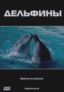 Дельфины/Dolphinmania (2003)