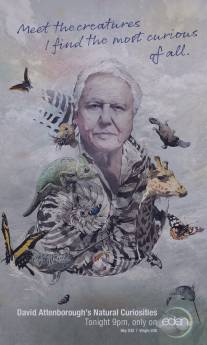 Девид Аттенборо. Курьезы природного мира/David Attenborough's Natural Curiosities (2013)