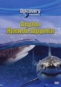 Discovery: Акулы Южной Африки/Air Jaws: Sharks of South Africa