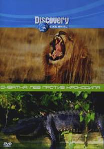 Discovery. Схватка: Лев против крокодила/Animal Face-Off: Lion vs. Nile crocodile