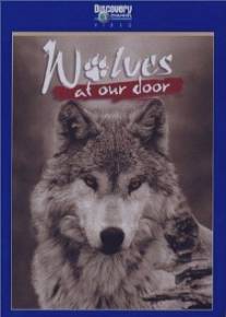 Discovery: Волки/Wolves at Our Door