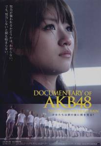 Documentary of AKB48: No Flower Without Rain (2013)