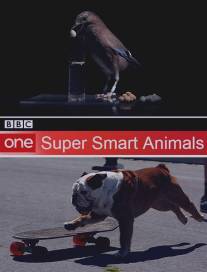 Гении из царства животных/Super Smart Animals (2012)