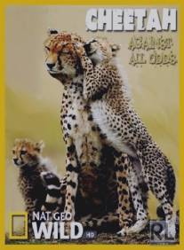 Гепарды - наперекор всему/Cheetah - Against All Odds