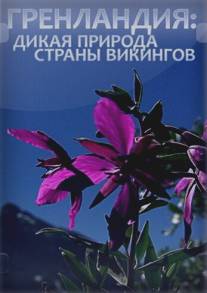 Гренландия: Дикая природа страны викингов/Green Land: Wildlife in the Land of Vikings, The (2005)