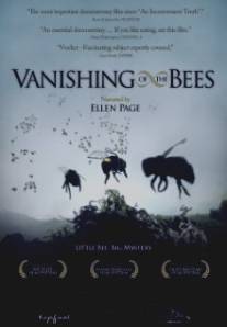 Исчезновение пчел/Vanishing of the Bees